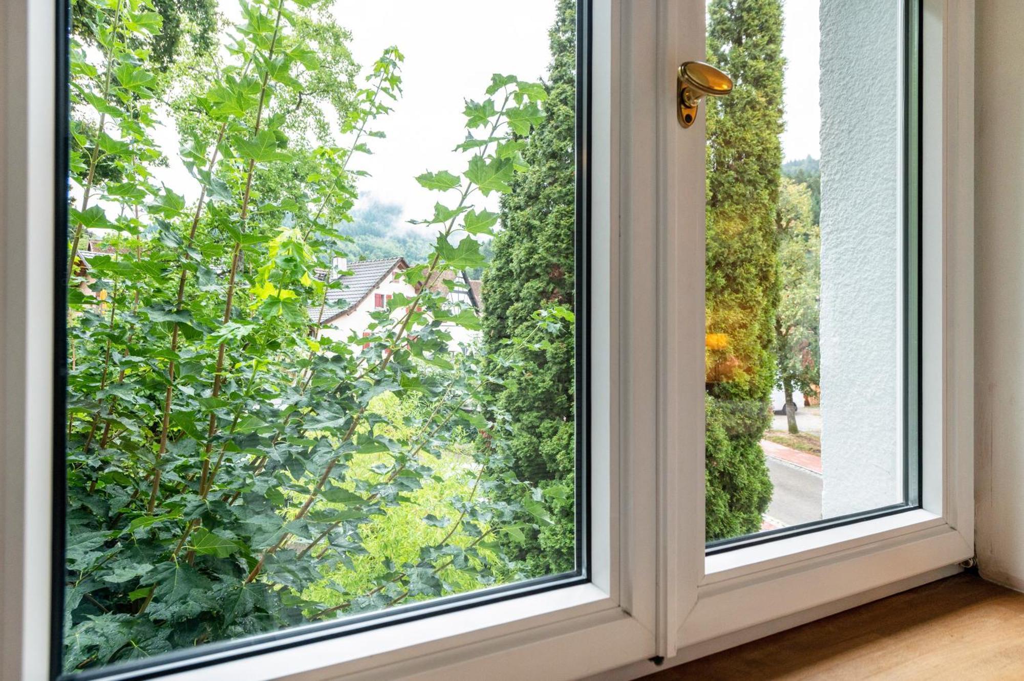 Appartement Waldhorn Badenweiler Bagian luar foto